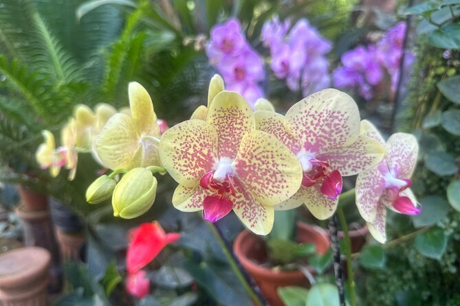 1/2 Day Puerto Vallarta Botanical Garden tour - A quick coffee lesson and tasting