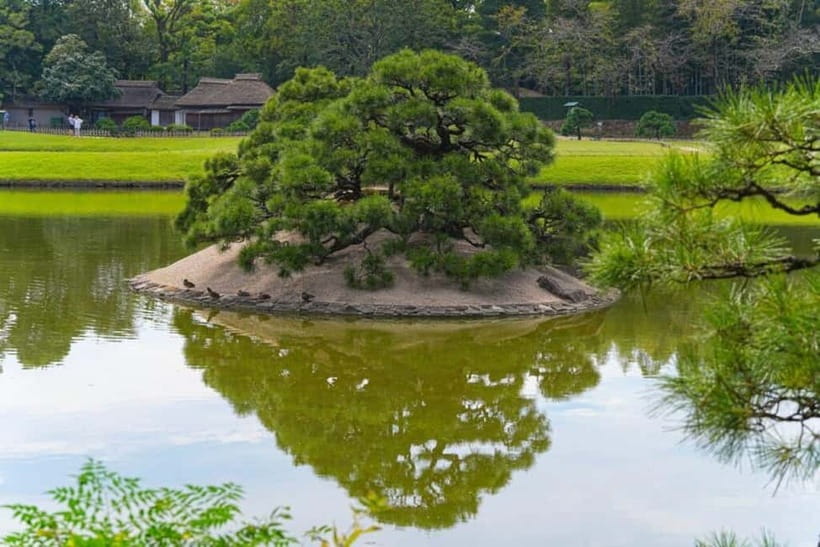 1-Day Tour from Okayama: Kurashiki, Gardens & Okayama Castle - Why this Okayama day tour works well