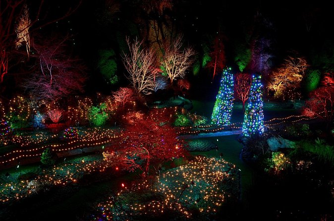 1 hour City Tour & Butchart Gardens: Christmas - Entry included! - How the small group affects the experience