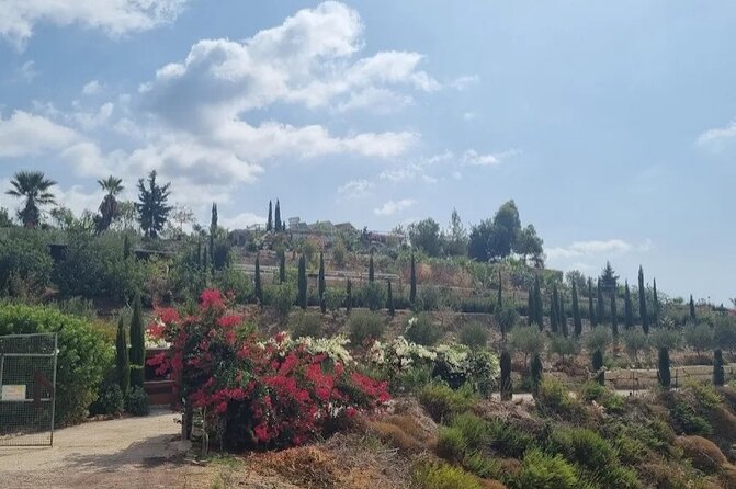 2-Hour Botanic Garden Tour in Akoursos - The chapel and roof garden pause
