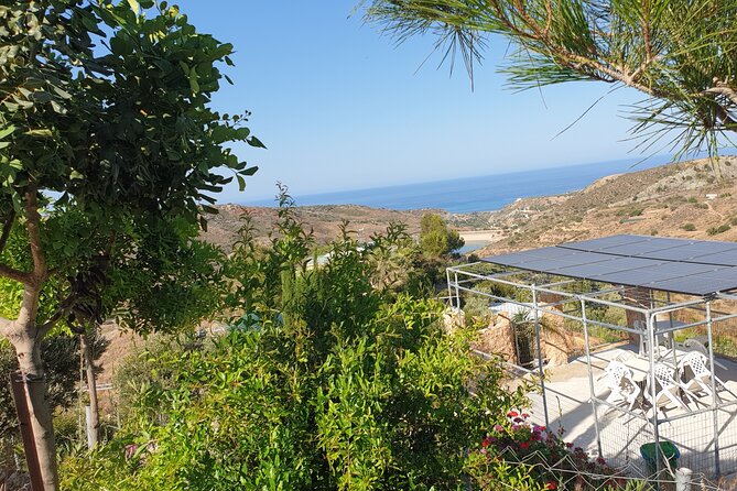 2-Hour Botanic Garden Tour in Akoursos - Spring water, waterfalls, and Adonis Cave
