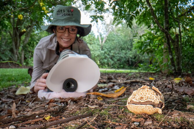2-Hour Mushroom Photography Activity in Cairns Botanic Gardens - Why mushroom photography works so well in Cairns