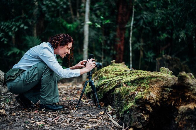 2-Hour Mushroom Photography Activity in Cairns Botanic Gardens - Meeting Bridgette at Centenary Lakes