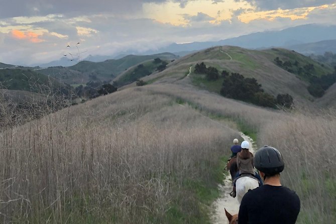 2 Hour Wildflower Horseback Trail Ride experience in Agoura Hills - Key points to know before you ride