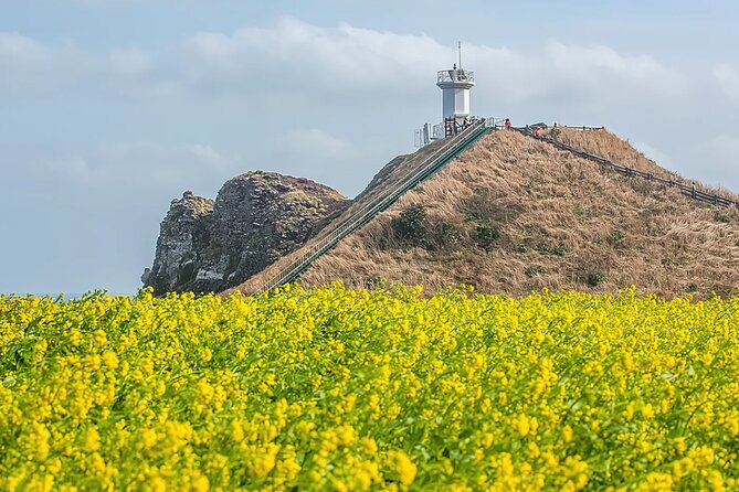 2026 Cherry Blossom East Day Tour in Jeju with UNESCO - Seongeup Folk Village keeps local life in view