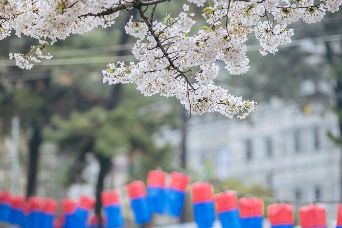 2026 Cherry Blossom East Day Tour in Jeju with UNESCO - Seongsan Ilchulbong closes with UNESCO scenery