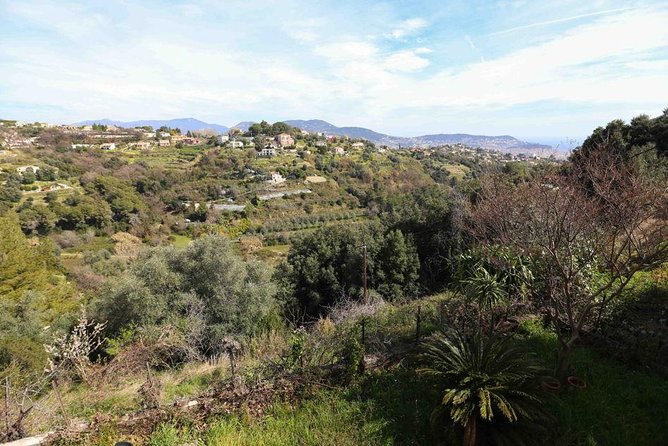 3-Course Organic Dinner in Garden with Views of French Riviera - Wine, conversation, and the pace of dinner