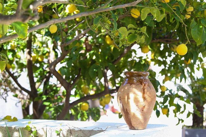 3-Course Organic Dinner in Garden with Views of French Riviera - Who will enjoy this Nice dinner most?