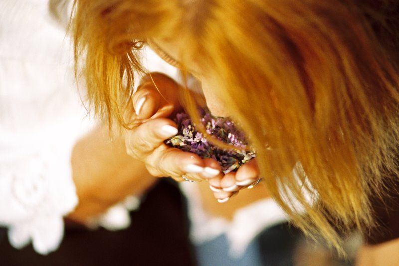 3-Hour Lavender Tour from Hvar - Key points to know before booking