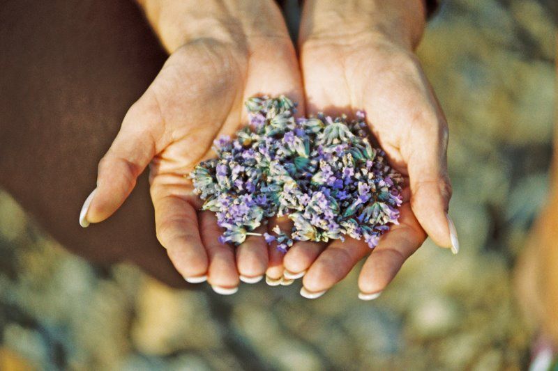 3-Hour Lavender Tour from Hvar - A short stop at Kapelica sv. Rok