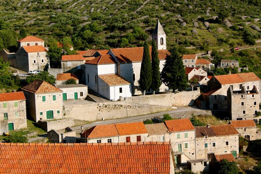 3-Hour Lavender Tour from Hvar - What the small group and transport add