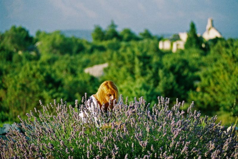 3-Hour Lavender Tour from Hvar - Is $159 per person good value?