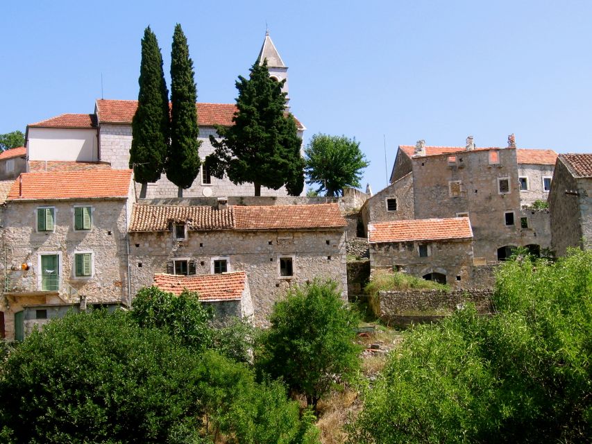 3-Hour Lavender Tour from Hvar - Who should book this Hvar outing?