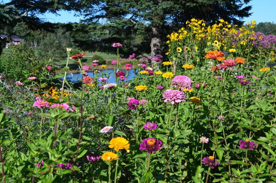 4 Hour Private Tour: Acadia, Fjord, Gardens & Mansions - Somes Sound and the island’s quieter side