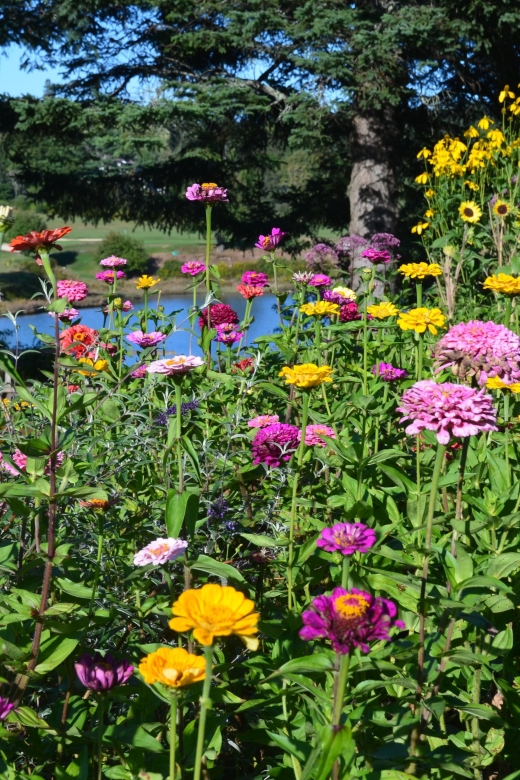 4 Hour Private Tour: Acadia, Fjord, Gardens & Mansions - What the private vehicle changes