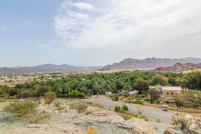 4x4 Hatta Safari to Fossil Rock & Honey Bee Garden visit with Breakfast - The Honey Bee Garden Adds a Local Touch