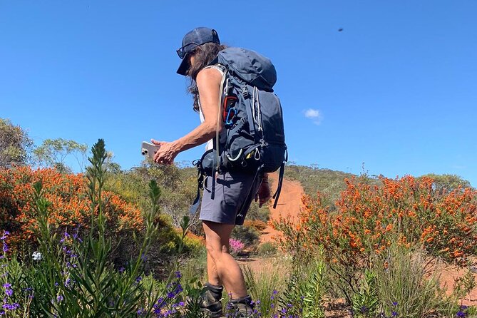 5 Days Walking with Wildflowers - Fitzgerald Biosphere - Five details that shape the experience