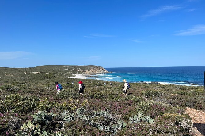 5 Days Walking with Wildflowers - Fitzgerald Biosphere - Day 2: The longest walk at 13 kilometres