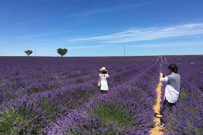 5-Hours Lavender Fields Tour in Valensole from Aix-en-Provence - Key points to know before booking