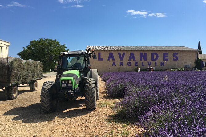 5-Hours Lavender Fields Tour in Valensole from Aix-en-Provence - The guides make the small group worthwhile
