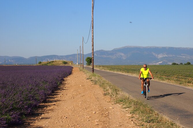 5-Hours Lavender Fields Tour in Valensole from Aix-en-Provence - The 9:00 a.m. start from Aix-en-Provence