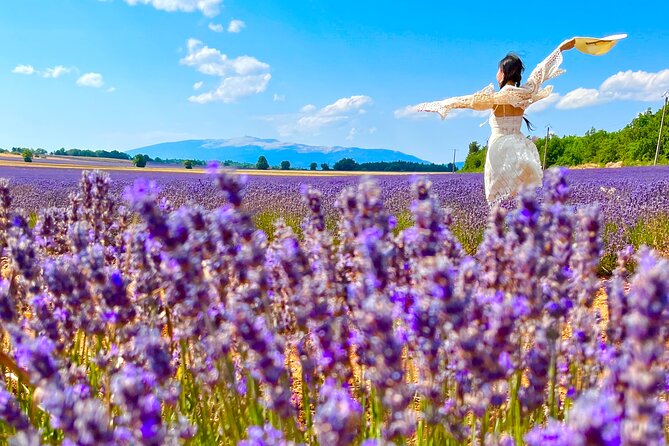 A day in the Lavenders and Villages of Provence - What makes this Provence day trip special