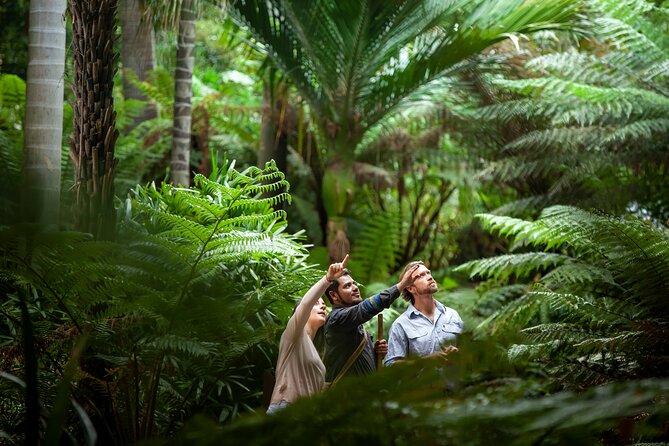 Aboriginal Heritage Walk - Royal Botanic Gardens Victoria, Melbourne Gardens - Key points to know before you book