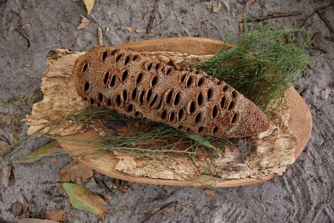 Aboriginal Heritage Walk - Royal Botanic Gardens Victoria, Melbourne Gardens - Why the Royal Botanic Gardens matter