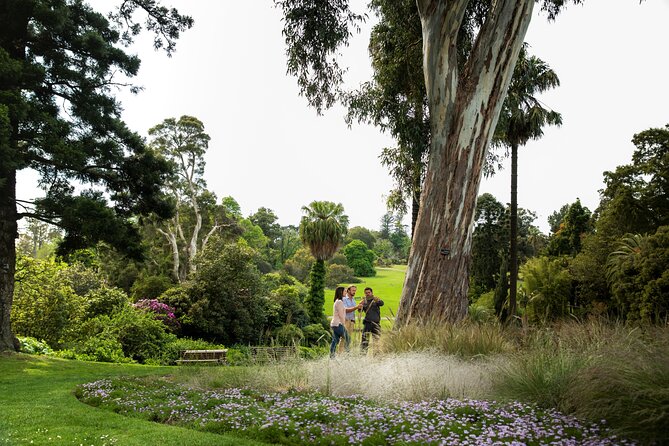 Aboriginal Heritage Walk - Royal Botanic Gardens Victoria, Melbourne Gardens - Group size, timing, and comfort