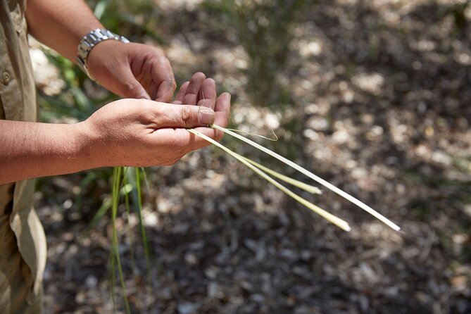 Aboriginal Heritage Walk - Royal Botanic Gardens Victoria, Melbourne Gardens - Stories, humor, and a personal connection
