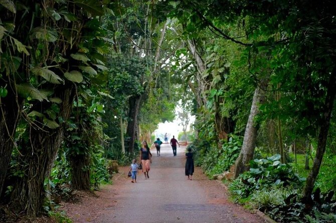 Aburi Botanic Gardens and Boti Falls Full-Day Private Tour - Leaving Accra for the Aburi Hills