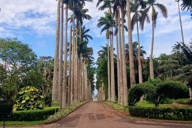 Aburi Botanic Gardens, Boti Falls,Umbrella Rock & Cocoa Farm Tour - Key things to know before you go
