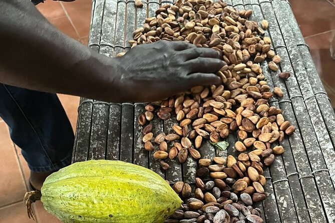 Aburi Botanic Gardens, Boti Falls,Umbrella Rock & Cocoa Farm Tour - Boti Falls and the 250 steps to the water