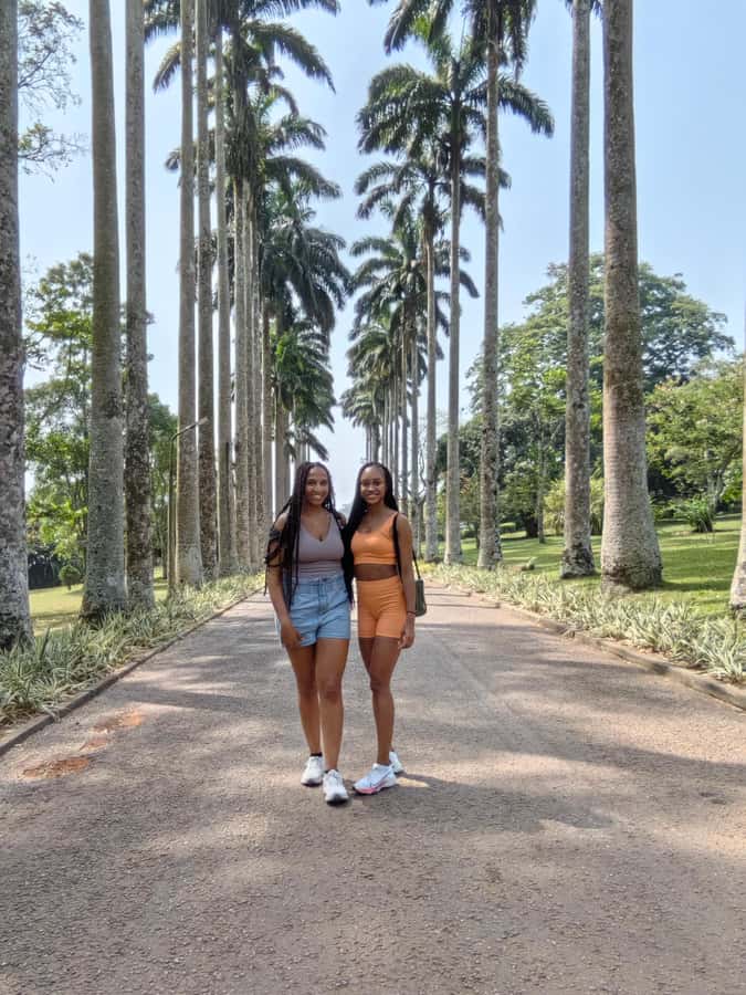 Accra: Aburi Botanical Garden, Cocoa Farm, and Waterfall … - Tetteh Quarshie Farm and Ghana’s cocoa story