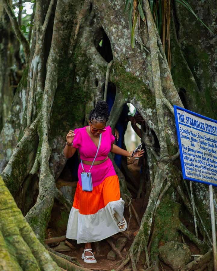 Accra: Aburi Botanical Garden, Cocoa Farm, and Waterfall … - Is $194 per person a fair price?