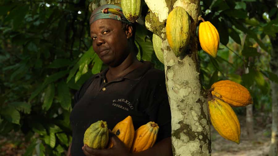 Accra Aburi Eco & Cocoa Experience: Gardens Waterfall &Lunch - Key points to know before you go