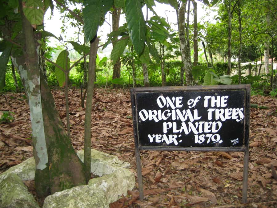 Accra Aburi Eco & Cocoa Experience: Gardens Waterfall &Lunch - A waterfall break, with details to confirm