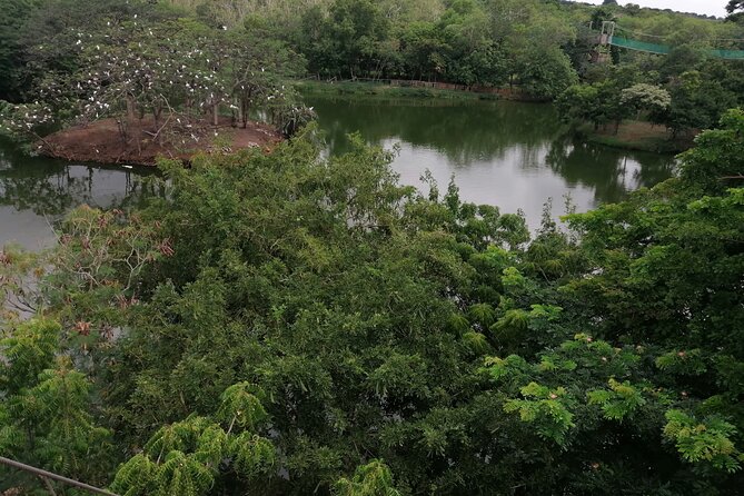 Accra Zoo, Canopy Walk and Botanical Gardens Private Tour - Inside Accra Zoo: two hours with Ghanaian wildlife