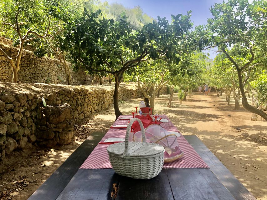 Agrigento: Valley of the Temples Gardens Picnic Experience - Is the price fair?