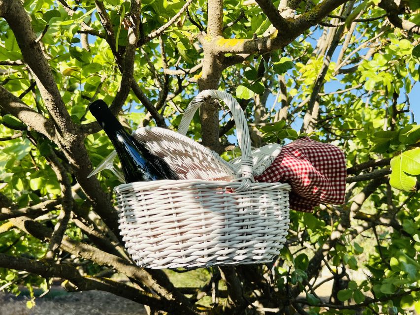 Agrigento: Valley of the Temples Gardens Picnic Experience - A peaceful pause beside Agrigento’s Greek temples