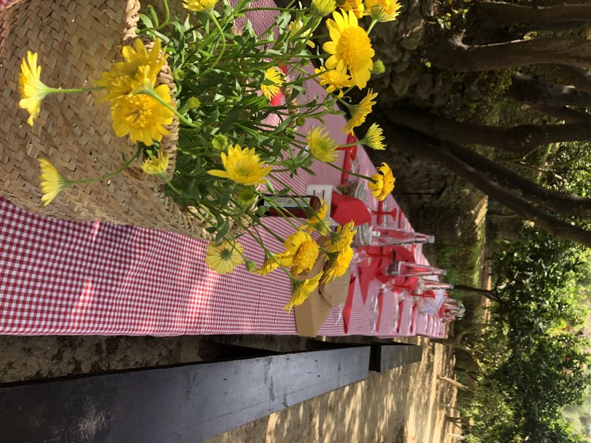 Agrigento: Valley of the Temples Gardens Picnic Experience - What arrives in the picnic basket