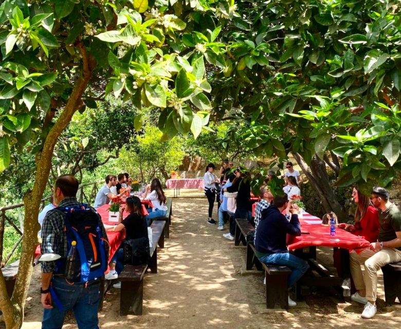 Agrigento: Valley of the Temples Gardens Picnic Experience - How filling is the food?