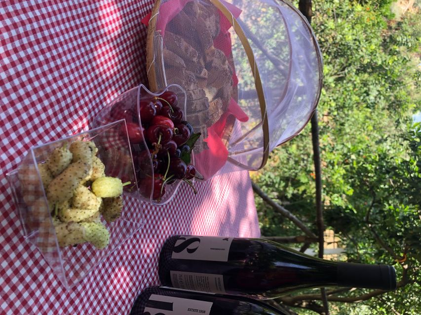 Agrigento: Valley of the Temples Gardens Picnic Experience - The hosts make the experience feel personal