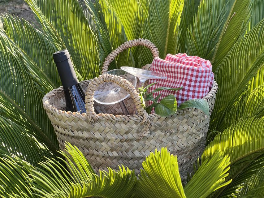 Agrigento: Valley of the Temples Gardens Picnic Experience - Who will enjoy this picnic most?