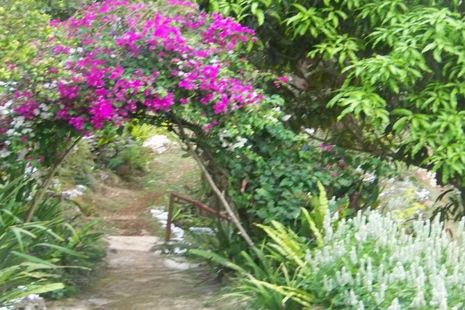 Ahhh Ras Natango Gallery and Garden Private Transfer - Ahhh Treasures, a gift shop with personality