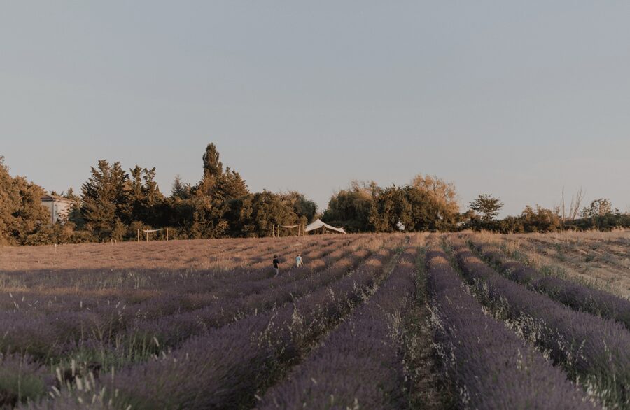 Aix-en-Provence: Lavender Fields Visit - Lavender, shade, mats, and a slower pace