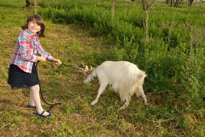 Alcamo Farm Animals and Aromatic Garden - Why this farm visit feels different from a standard food tasting