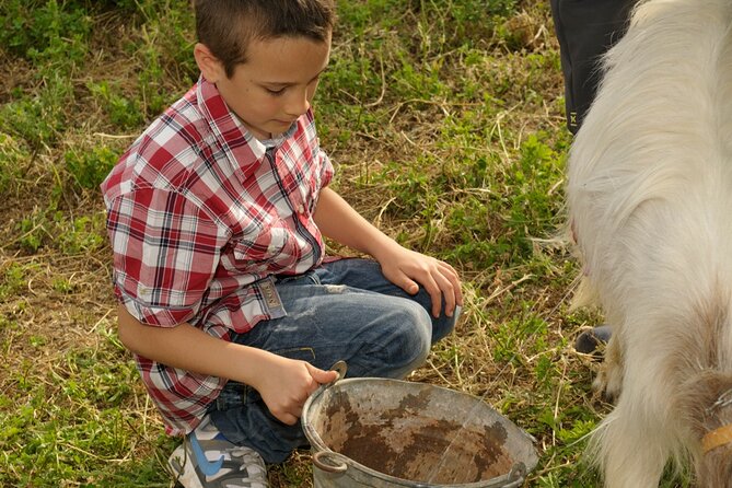 Alcamo Farm Animals and Aromatic Garden - Meeting the horses, donkeys, goats, and poultry
