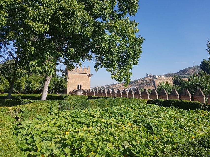 Alhambra: Generalife Gardens & Alcazaba Fast-Track Tour - How the guide shapes the experience