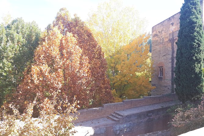 Alhambra Tour :Generalife Gardens ,Palaces and towers.Skiptheline - Charles V Palace and the Medina